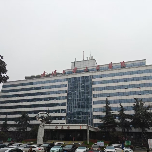 武漢大學人民醫院
